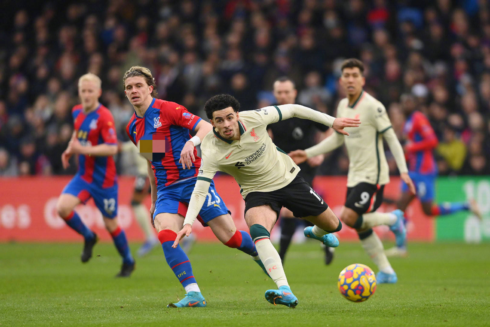 鲜血液来增 鲜血液来增