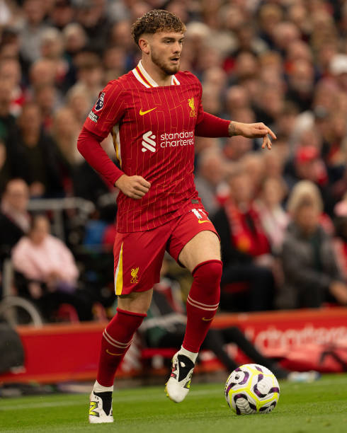 球员发展体 球员发展体