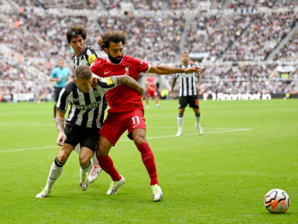 在转会市场 在转会市场